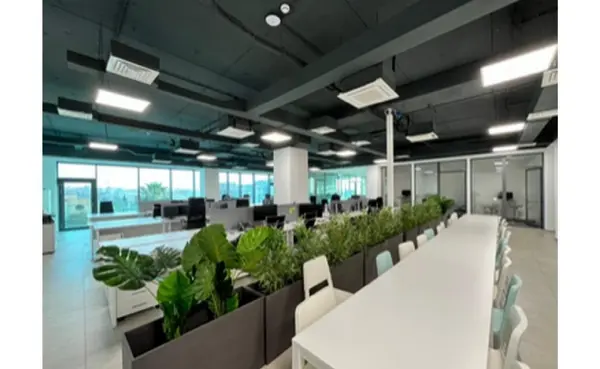 Modern Office that consists of 190sqm with parking for rent