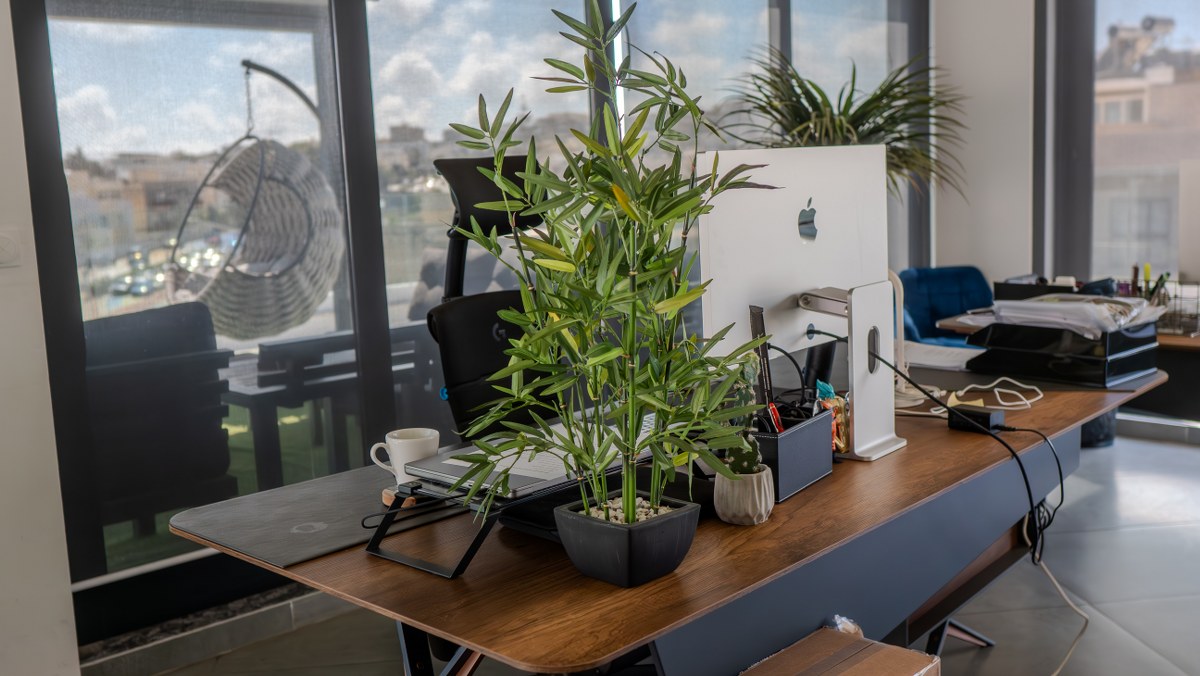 Penthouse Office that Consists of 400 sqm for rent in St Julians