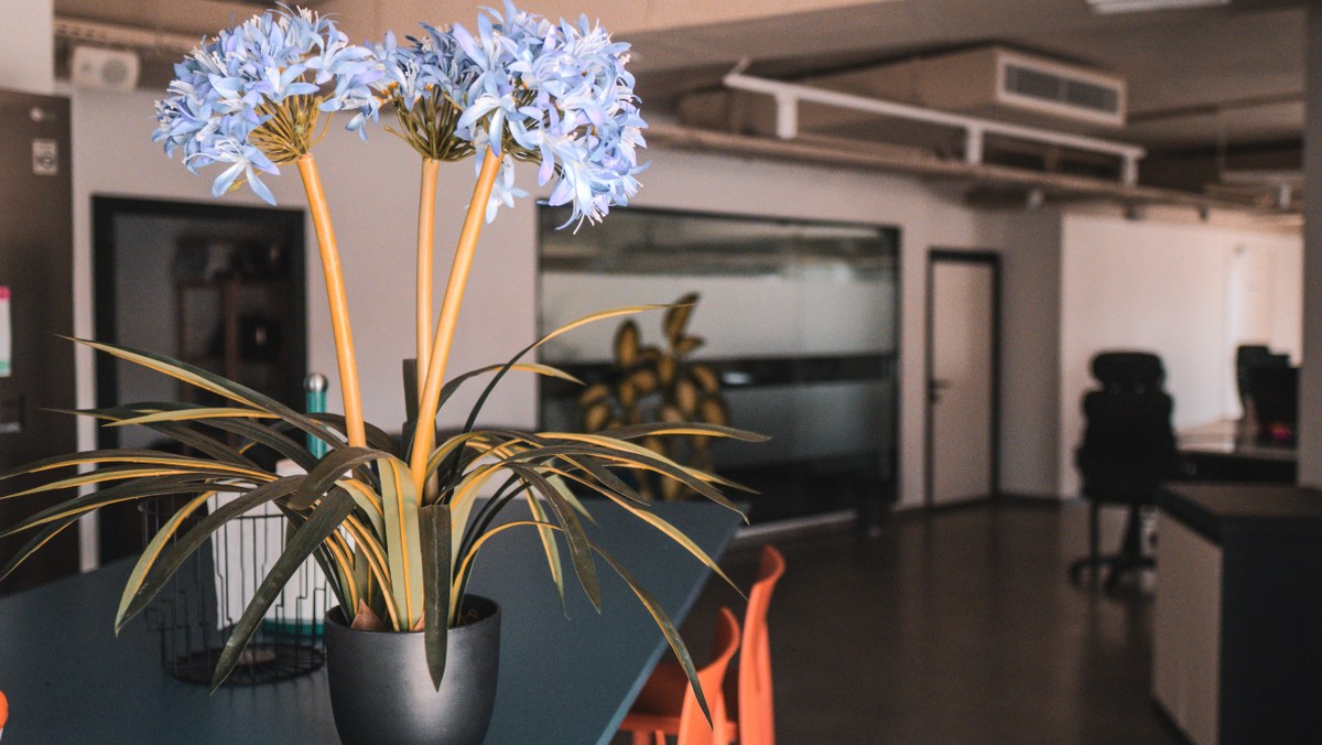 Penthouse Office that Consists of 400 sqm for rent in St Julians