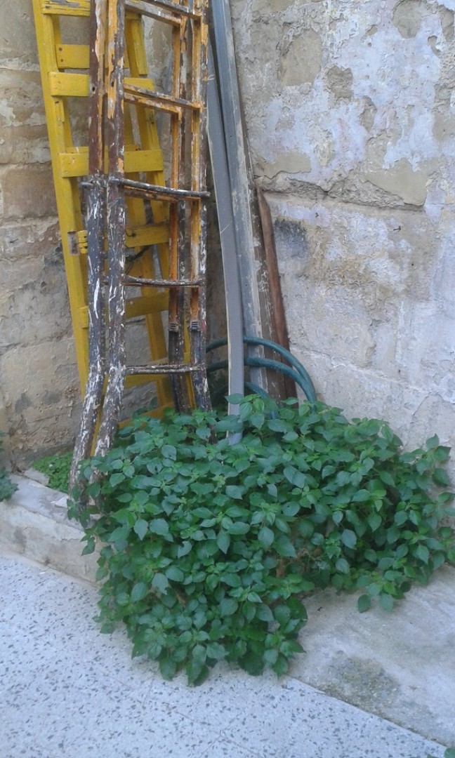 Very well priced well located 90sqm office or shop in Gzira just off seafront