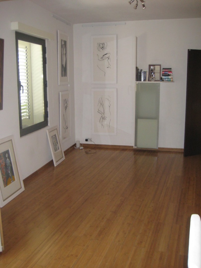 Apartment/office with permits in Iklin