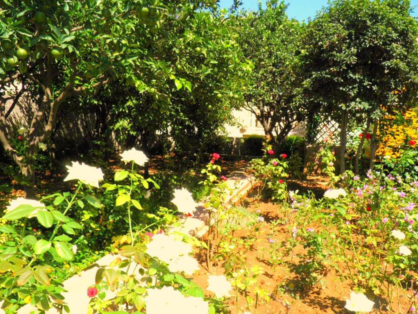 Palazzo with Garden for sale in Ta Xbiex