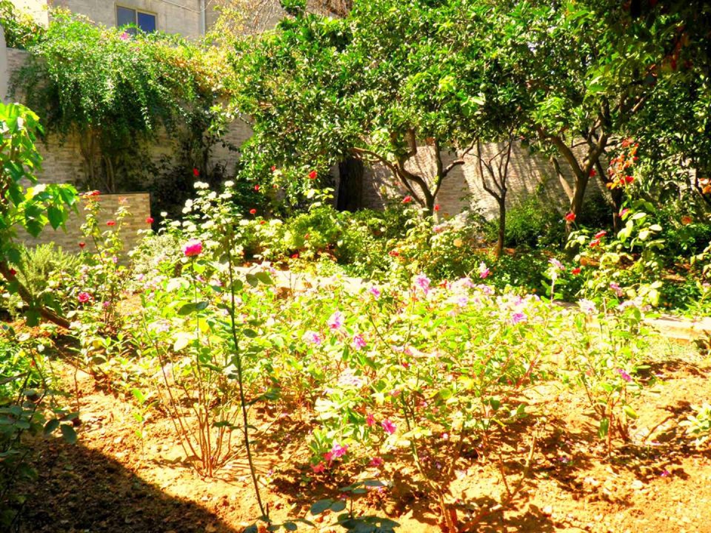Palazzo with Garden for sale in Ta Xbiex
