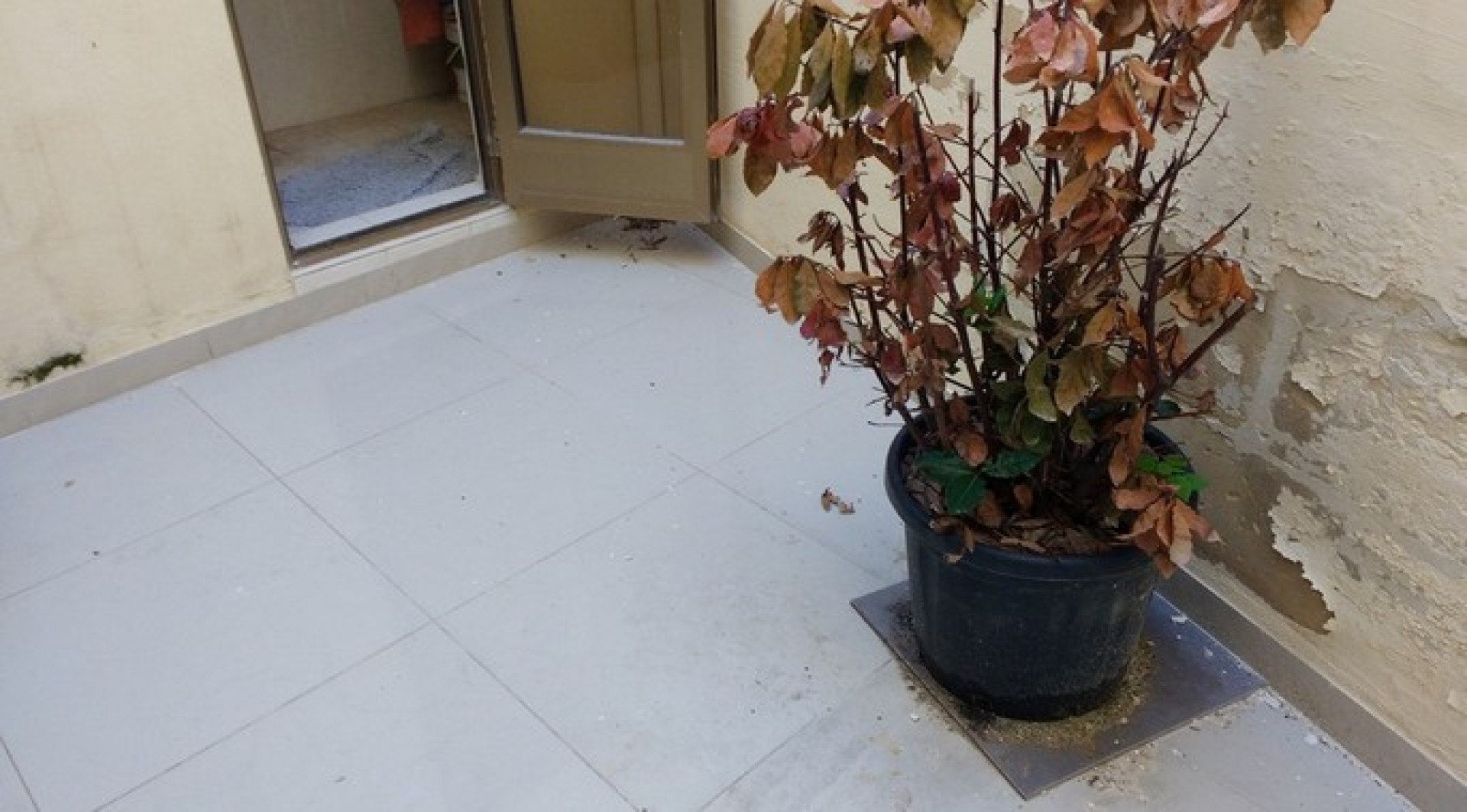 Real Estate Malta: 130 sqm Office in Naxxar