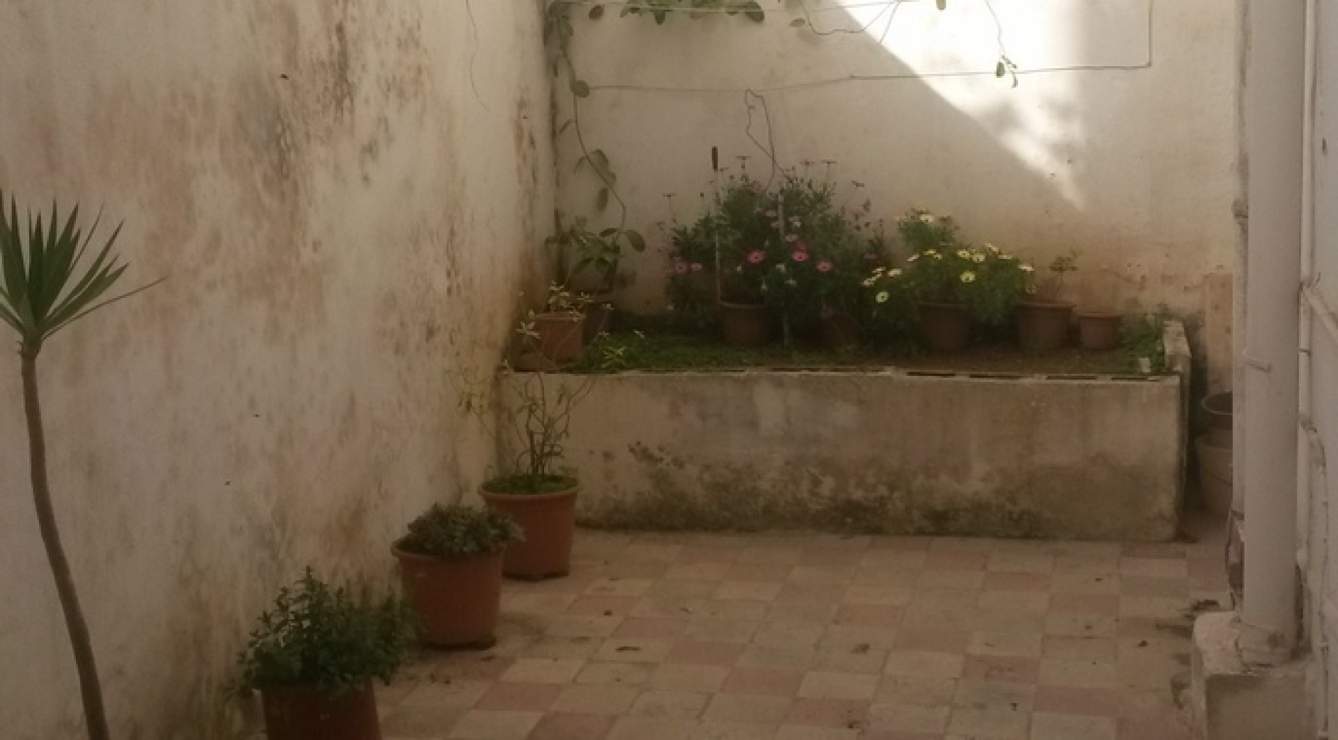 Office Space for Rent in Sliema