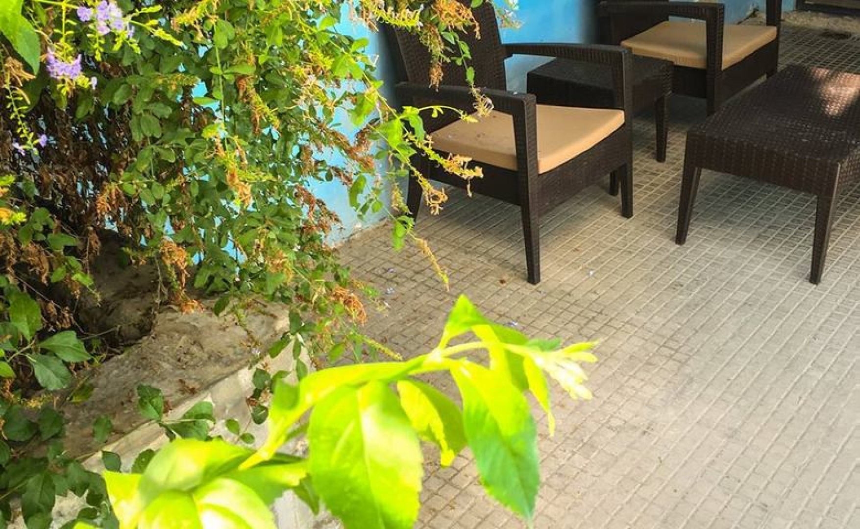 Rent Offices in Malta: Birkirkara 120sqm property to let