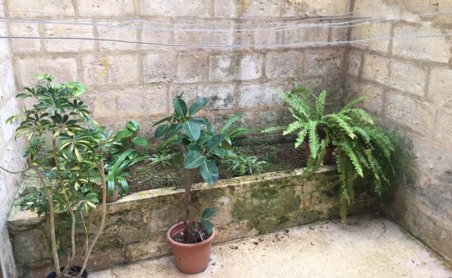 Commercial Property Malta: 65sqm premises for rent in St Julian's