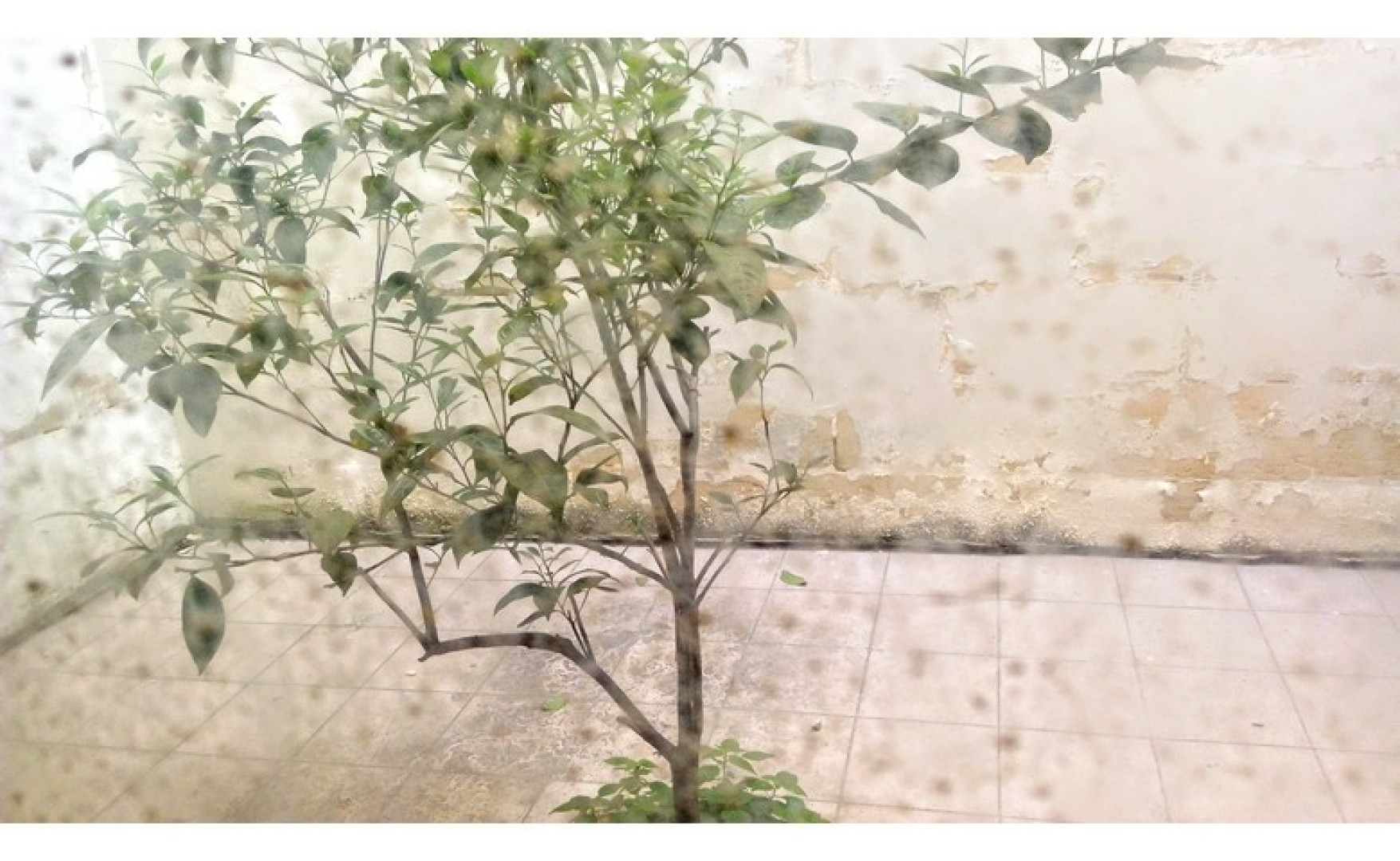 Real estate Malta: Tarxien 120sqm garage/warehouse for rent