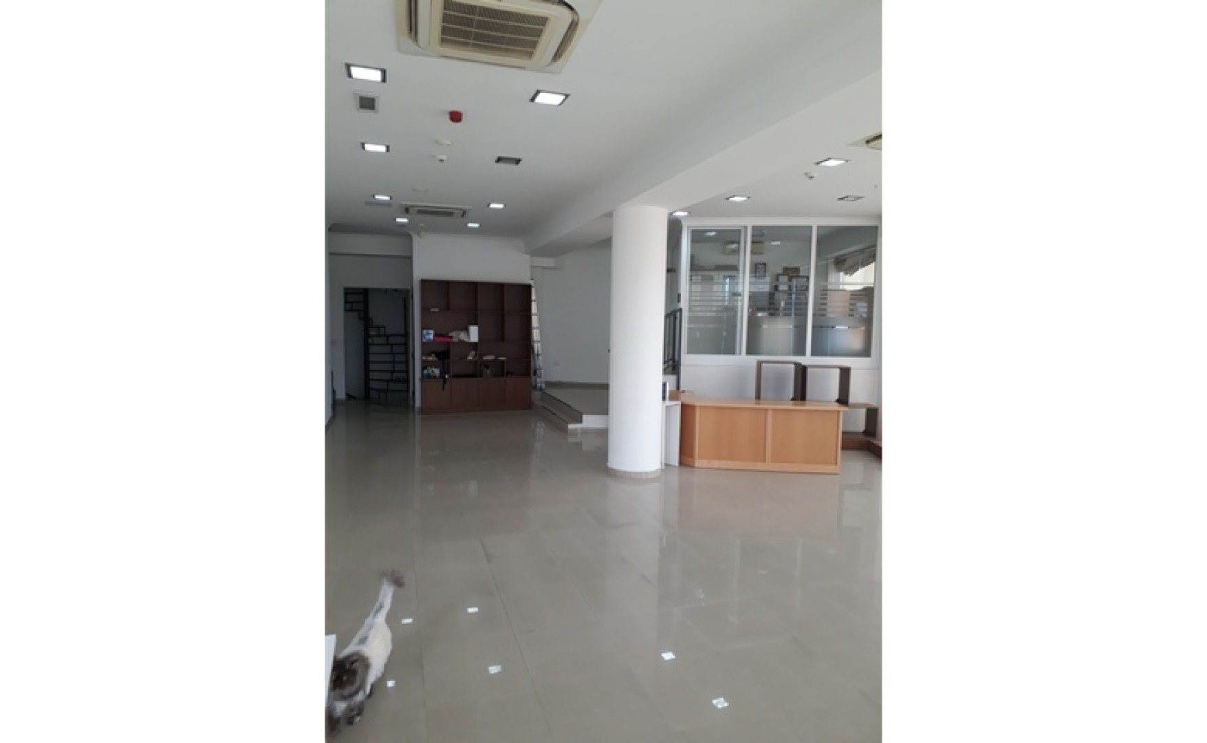 Offices for rent Malta: 450sqm showroom and offices to let