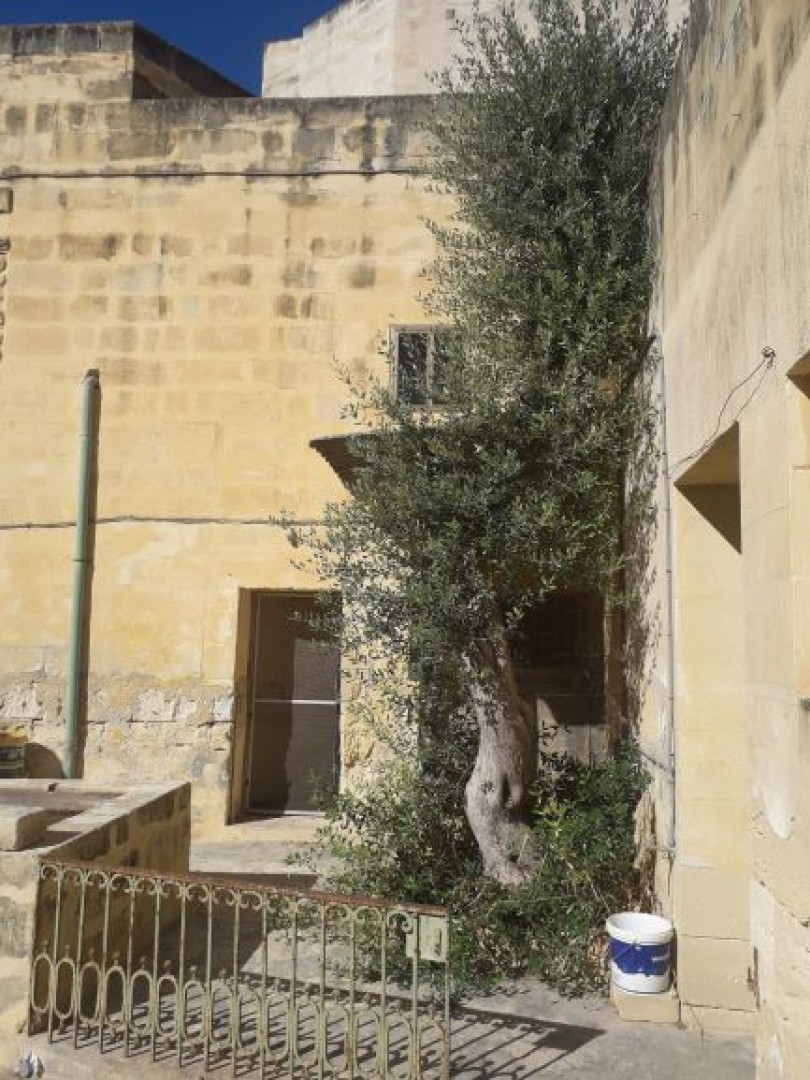 Malta real estate: Huge Unconverted Farmhouse - 820sqm with Large Garden in Mriehel