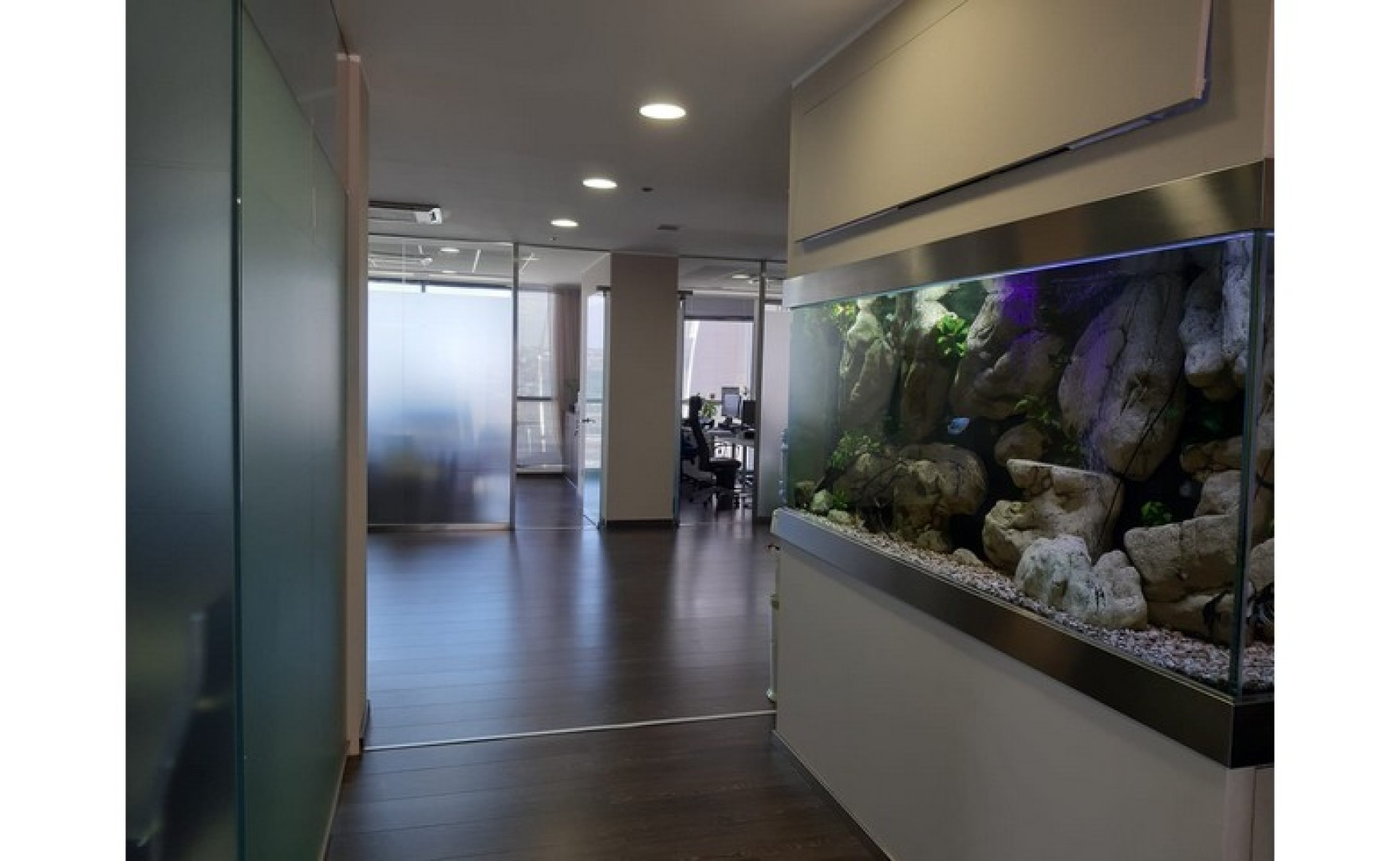 Portomaso 286sqm Office to let with Fantastic Views