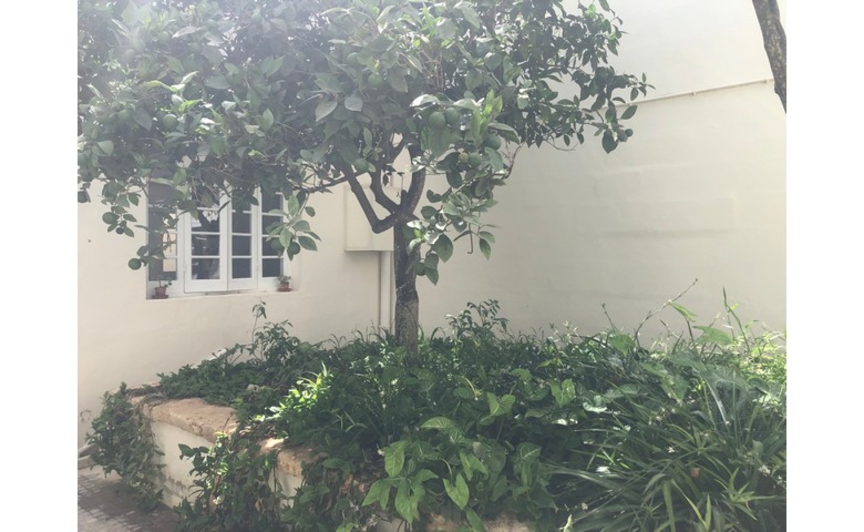 6 bedroom House for rent in Burmarrad ideal for subletting