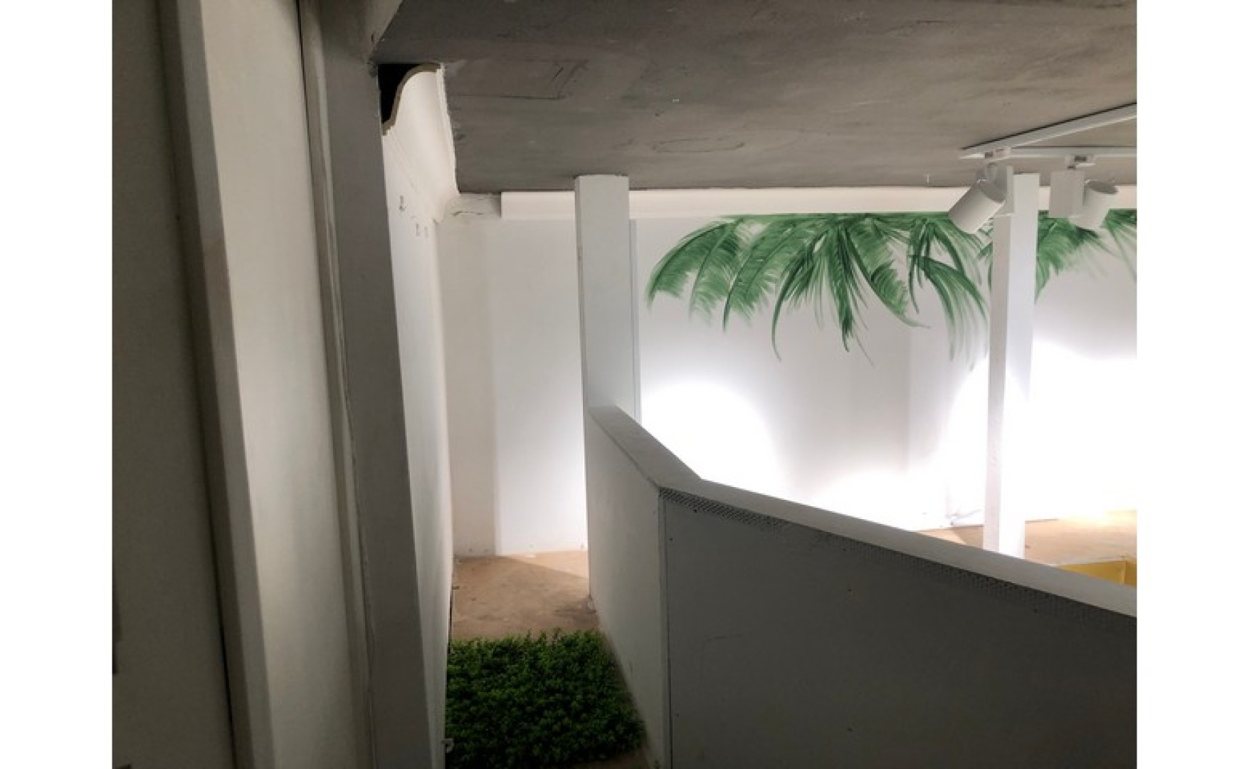 Shop to let Malta: Sliema 36sqm commercial premises for rent in Bisazza street