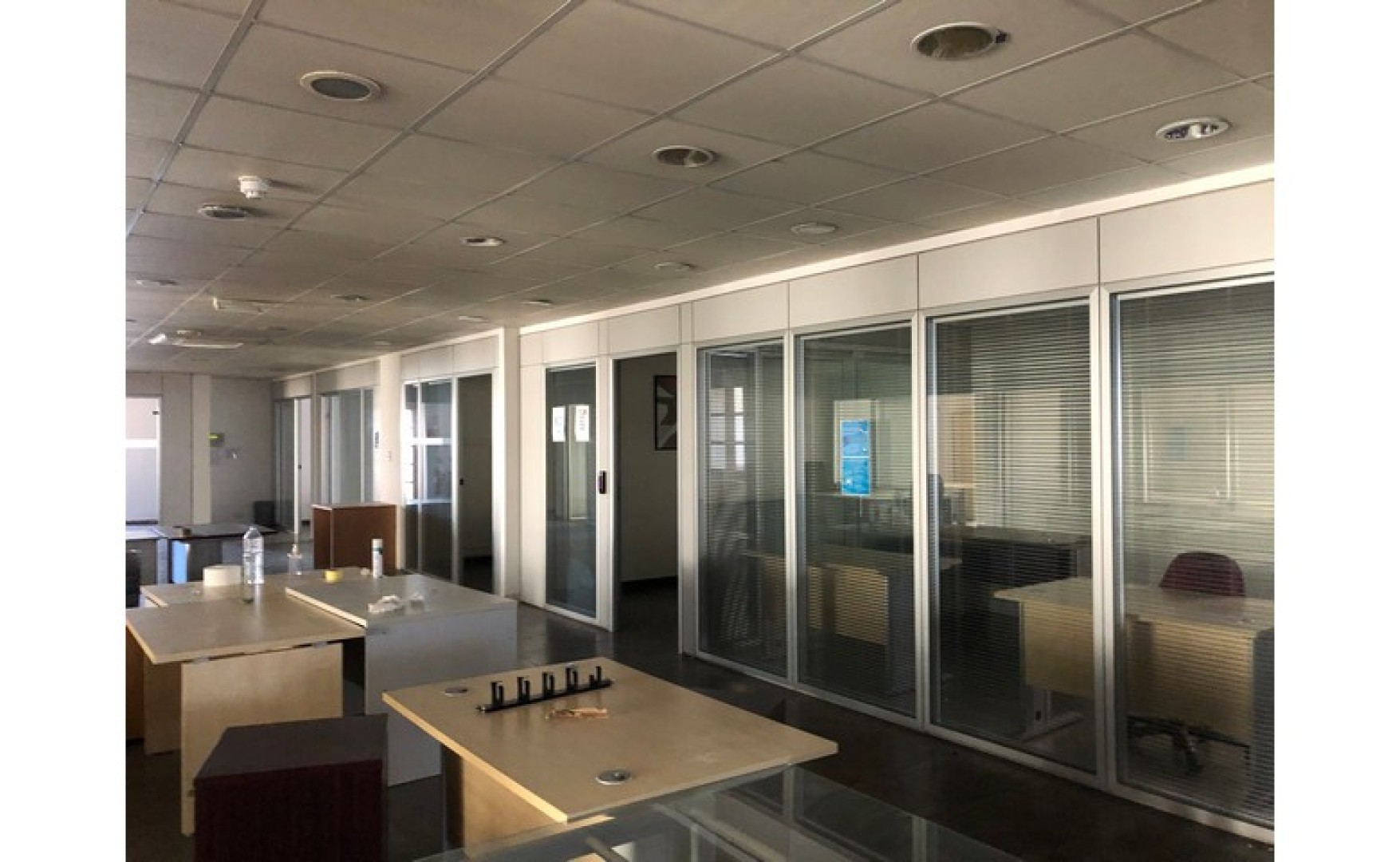 Language School for rent in Sliema