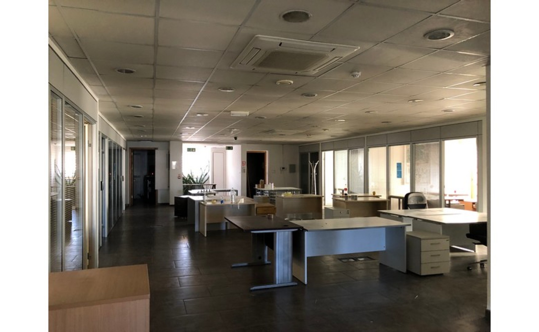 Language School for rent in Sliema