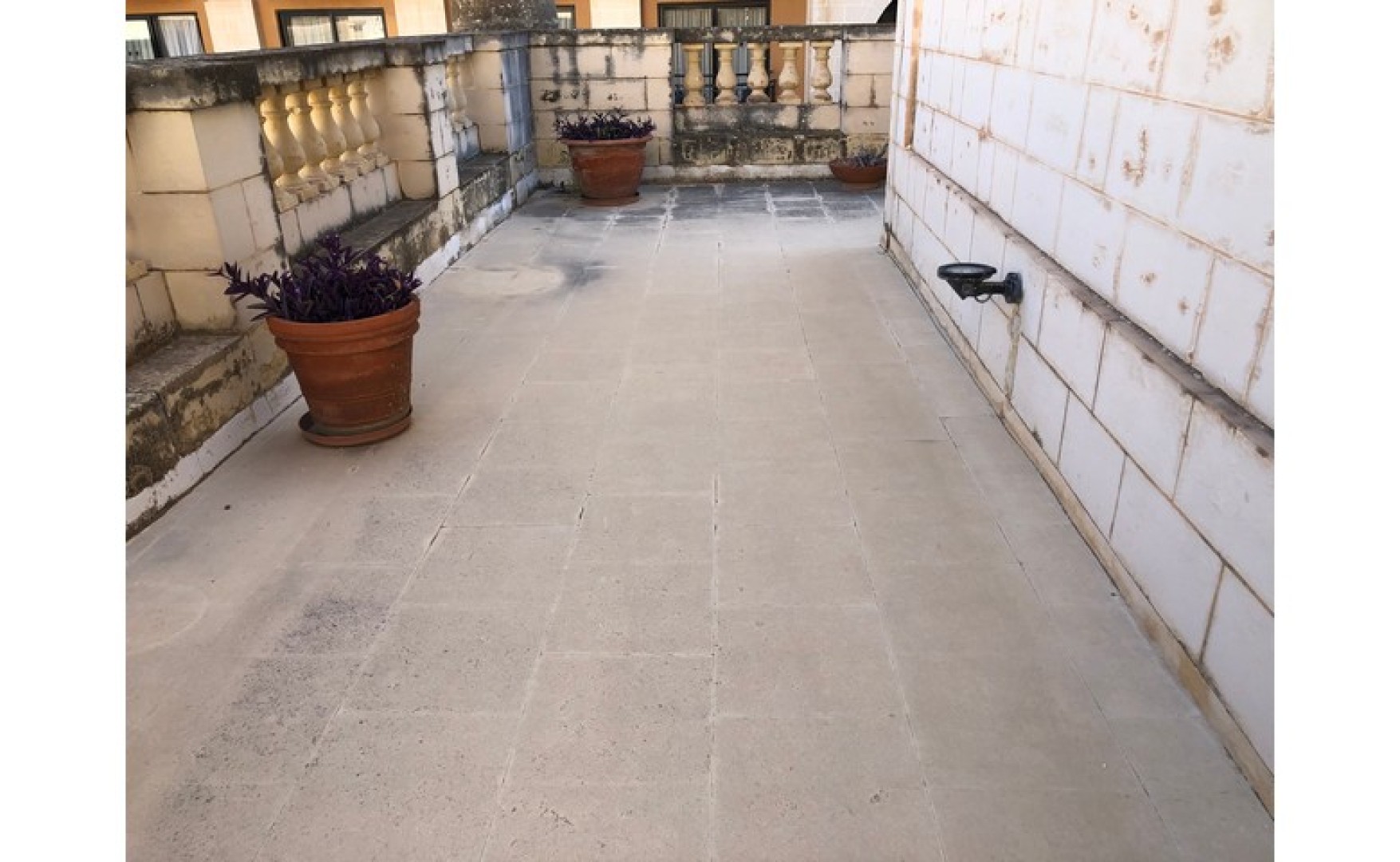 Language School for rent in Sliema