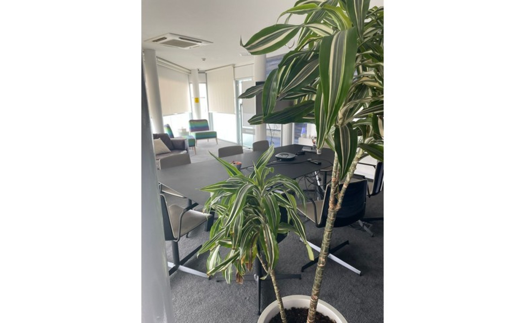1070 sqm Msida office for rent