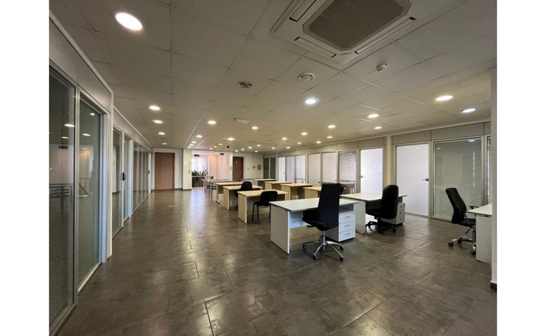 Language School for rent in Sliema