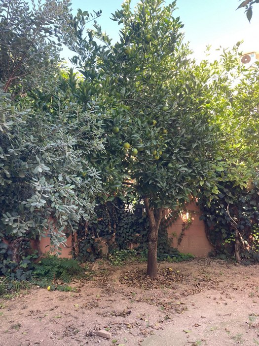 Spacious 5-Bedroom Hostel for Rent in St. Julian's